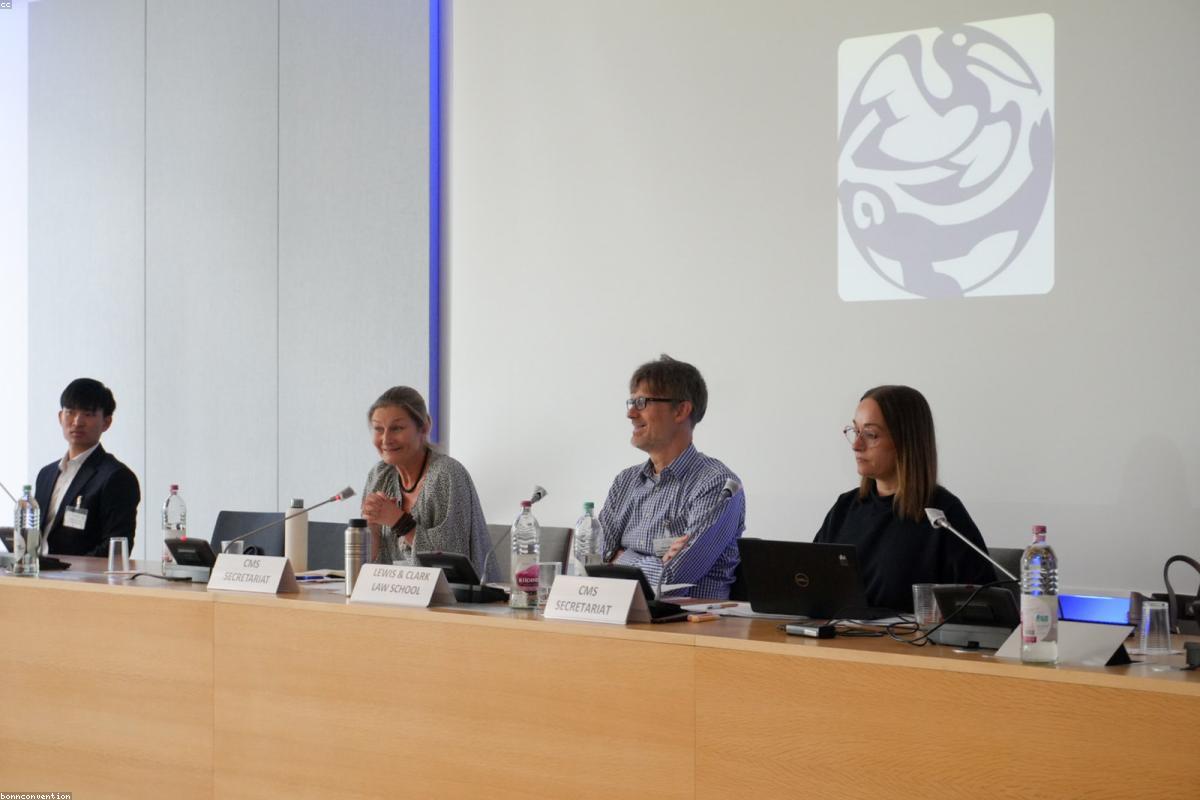 obnoviteľné zdroje energie - ilustračný obrázok